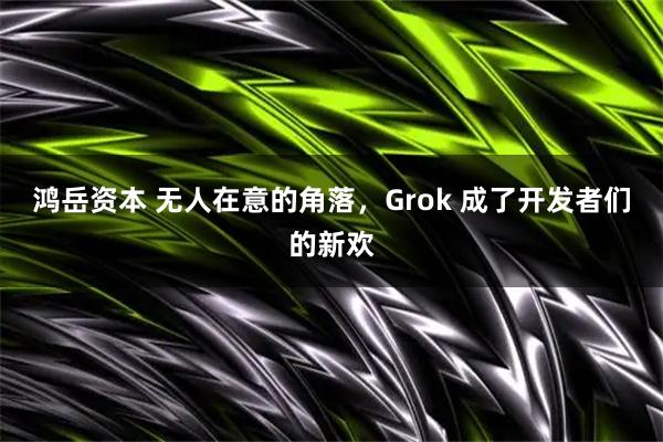 鸿岳资本 无人在意的角落，Grok 成了开发者们的新欢